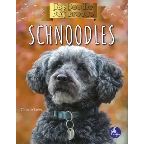 Schnoodles