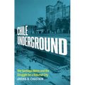 Chile Underground: The Santiago Metro and the Struggle for a Rational City