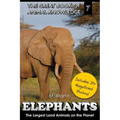 Elephants: The Largest Land Animals on the Planet