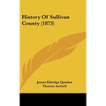 History Of Sullivan County (1873)