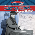 What Is a Constitutional Amendment?