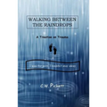 Walking Between the Raindrops: A treatise on trauma