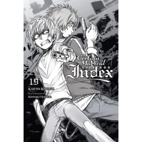 A Certain Magical Index, Vol. 19 (Light Novel)