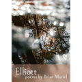 Elliott