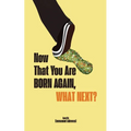 Now That You Are Born Again, What Next?