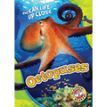 Octopuses
