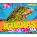 Iguanas Have an Extra Eye!