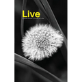 Live: Experience Christ's Life