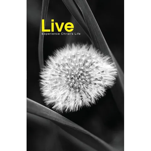 Live: Experience Christ's Life