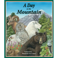 A Day on the Mountain
