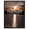 Destinesia: An Anthology of Change