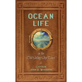 Ocean Life in the Old Sailing Ship Days