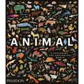 Animal: Exploring the Zoological World