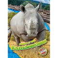 Rhinoceroses