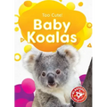Baby Koalas