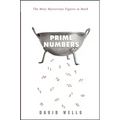 Prime Numbers: The Most Mysterious Figures in Math