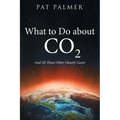 What to Do About Co2: And All Those Other Ghastly Gases