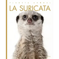 La Suricata