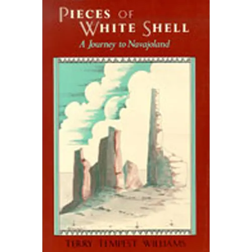 Pieces of White Shell