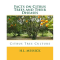 Facts on Citrus Trees and Their Diseases: Citrus Tree Culture