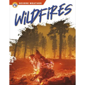Wildfires