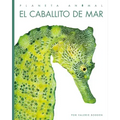 El Caballito de Mar