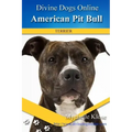 American Pit Bull Terriers