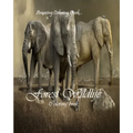 Forest Wildlife: Wildlife Coloring Book