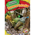 Bowerbirds
