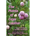 The Plants of Caye Caulker