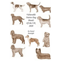 Vulnerable Native Dog Breeds: of the UK 2020