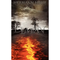 Demian (Spanish edition)