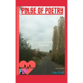 Pulse of Poetry: Volume 1: Every Story Has A Beginning