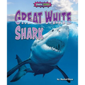 Great White Shark