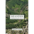 Meander: Making Room for Rivers