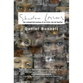 Shadow Lessons: The Unexpected Journey of an Inner City Art Teacher