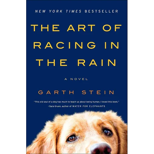The Art of Racing in the Rain