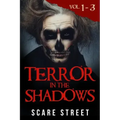 Terror in the Shadows Volumes 1 - 3: Scary Ghosts, Paranormal & Supernatural Horror Short Stories Anthology