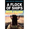 A Flock of Ships