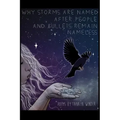 Why Storms are Named After People and Bullets Remain Nameless