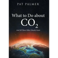 What to Do About Co2: And All Those Other Ghastly Gases