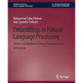 Embeddings in Natural Language Processing: Theory and Advances in Vector Representations of Meaning
