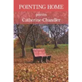 Pointing Home