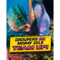 Groupers and Moray Eels Team Up!