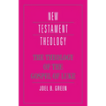 The Theology of the Gospel of Luke