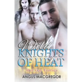 Wild Knights of Heat: Hot Gay Erotica