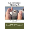 Racing Pigeons Advanced Techniques: The Ultimate Guide