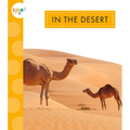 In the Desert