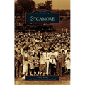 Sycamore