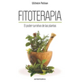 Fitoterapia: El poder curativo de las plantas